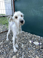 /album/52/img-20251116-wa0078-jpg/