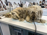 /album/52/img-20251116-wa0073-jpg/