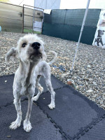 /album/52/img-20251116-wa0074-jpg/