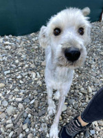 /album/52/img-20251116-wa0075-jpg/