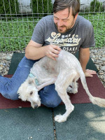 /album/52/img-20251116-wa0076-jpg/