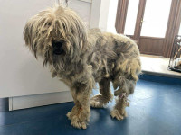 /album/52/img-20251116-wa0069-jpg/