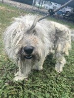 /album/52/img-20251116-wa0070-jpg/