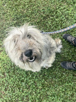 /album/52/img-20251116-wa0067-jpg/