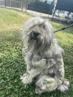 /album/52/img-20251116-wa0068-jpg/