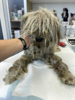 /album/52/img-20251116-wa0071-jpg/