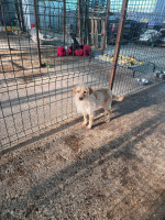 /album/98/20251115-101033-jpg/