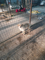 /album/98/20251115-101031-jpg/