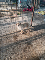 /album/98/20251115-101028-jpg/