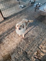 /album/98/20251115-101022-jpg/