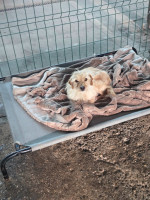 /album/98/20251115-100841-jpg/