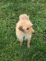 /album/98/20251114-100009-jpg/