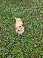 /album/98/20251114-095912-jpg/