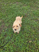 /album/98/20251114-095910-jpg/