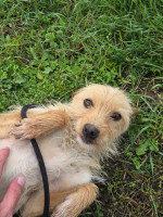 /album/98/20251114-095125-jpg/