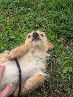 /album/98/20251114-095124-jpg/