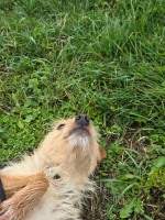 /album/98/20251114-095118-jpg/