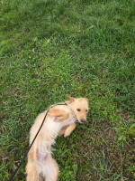 /album/98/20251114-095105-jpg/