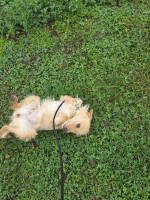 /album/98/20251114-094630-jpg/