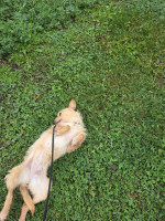 /album/98/20251114-094622-jpg/