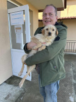 /album/98/dbbd42a9-e7a4-428c-bcef-aa1253ce8986-jpeg/