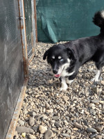 /album/15-11-2025/20251115-111603-jpg/