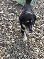 /album/15-11-2025/20251115-111510-jpg/