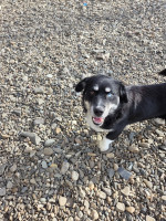 /album/15-11-2025/20251115-110136-jpg/