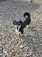 /album/15-11-2025/20251115-105853-jpg/