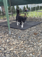 /album/15-11-2025/20251115-105229-jpg/