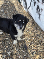 /album/15-11-2025/20251115-104905-jpg/