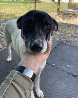 /album/78/556411661-1200062438834396-7648575873267191207-n-jpg/