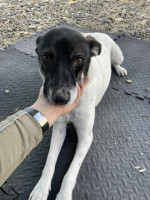 /album/78/557007033-1200062468834393-7912909689223818785-n-jpg/