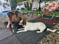 /album/78/555656159-1200062498834390-9220250863722556687-n-jpg/