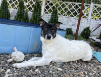 /album/78/555709263-1200062462167727-2091879904618318804-n-jpg/