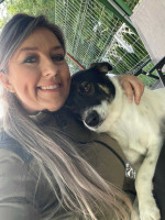 /album/78/556395473-1200062552167718-1252748595277913960-n-jpg/