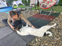 /album/78/556624848-1200062622167711-3815768420765623538-n-jpg/