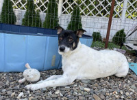 /album/78/555673169-1200062588834381-1179883493483992014-n-jpg/