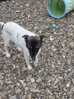 /album/15-11-20251/20251114-102237-jpg/