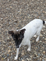 /album/15-11-20251/20251114-102155-jpg/