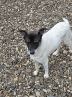 /album/15-11-20251/20251114-102153-jpg/