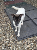 /album/15-11-20251/20251114-101042-jpg/