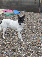 /album/15-11-20251/20251114-100615-jpg/