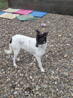 /album/15-11-20251/20251114-100613-jpg/