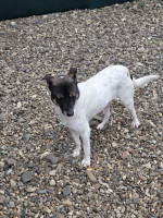 /album/15-11-20251/20251114-100556-jpg/