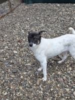 /album/15-11-20251/20251114-100552-jpg/