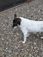 /album/15-11-20251/20251114-100545-jpg/