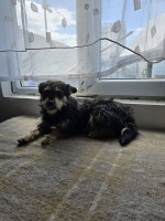 /album/mei-20252/499007649-10231968183219250-7673924414789273710-n-jpg/