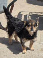 /album/mei-20252/499824574-1058620273032705-1814622556517795052-n-jpg/