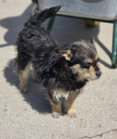 /album/mei-20252/499925953-1058620133032719-1679680111139855615-n-jpg/